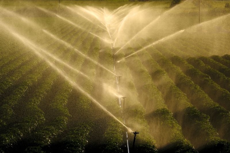 Crop Irrigation Installation in Ventura County, CA
